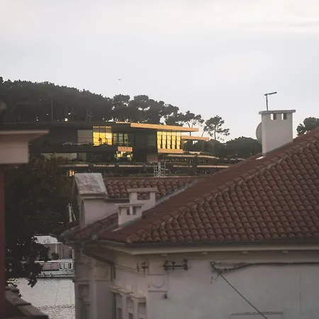 아파트 Zora 로비니