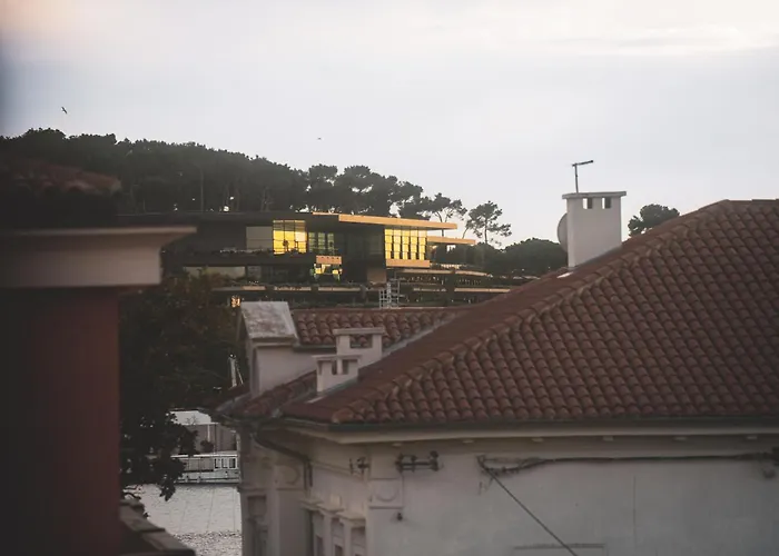 아파트 Zora 로비니